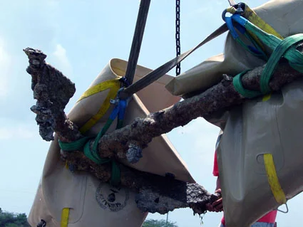 Anchor One from The Tile Wreck being swung into the conservation tank.