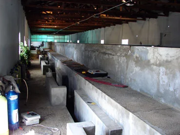Inside the tank room.