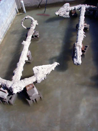 Anchors Two and One from The Tile Wreck during a water change.