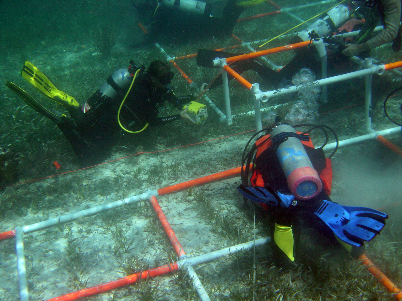 The Team working on The Button Wreck in the Florida Keys