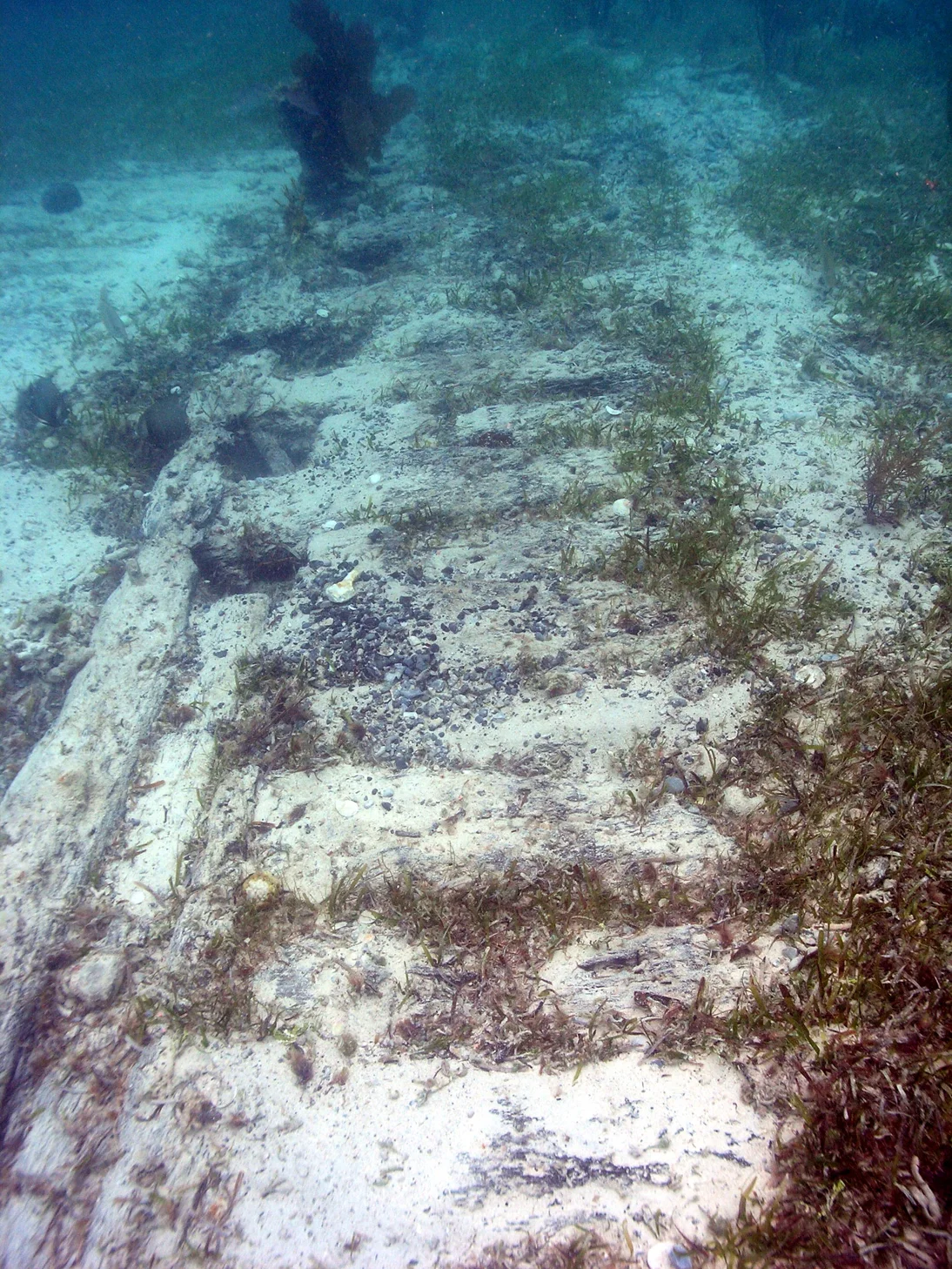 The starboard side of the keelson. Note the "holes" between the keelson and the ends of the "First Futtocks" which were set back