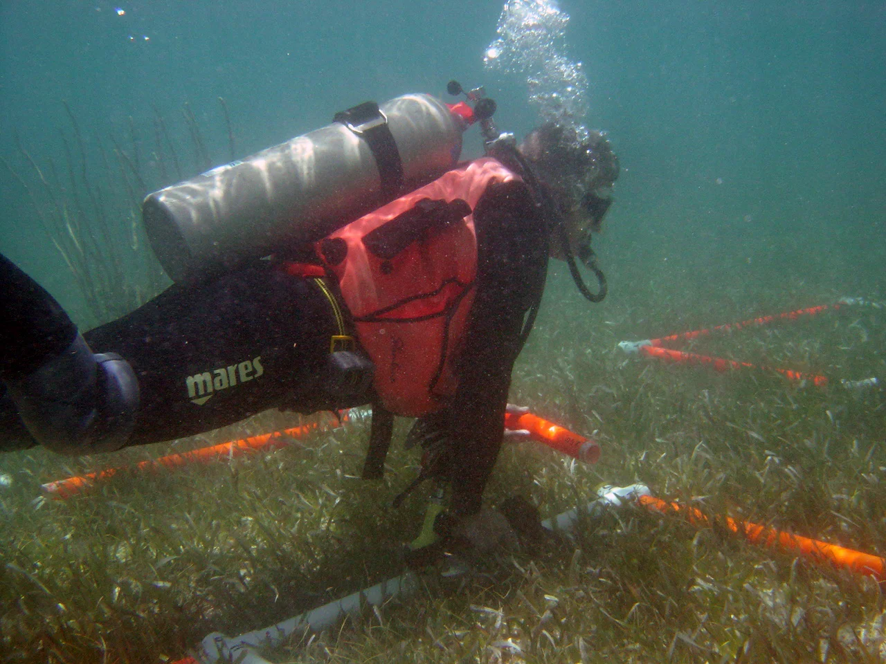 Frank working the southern section