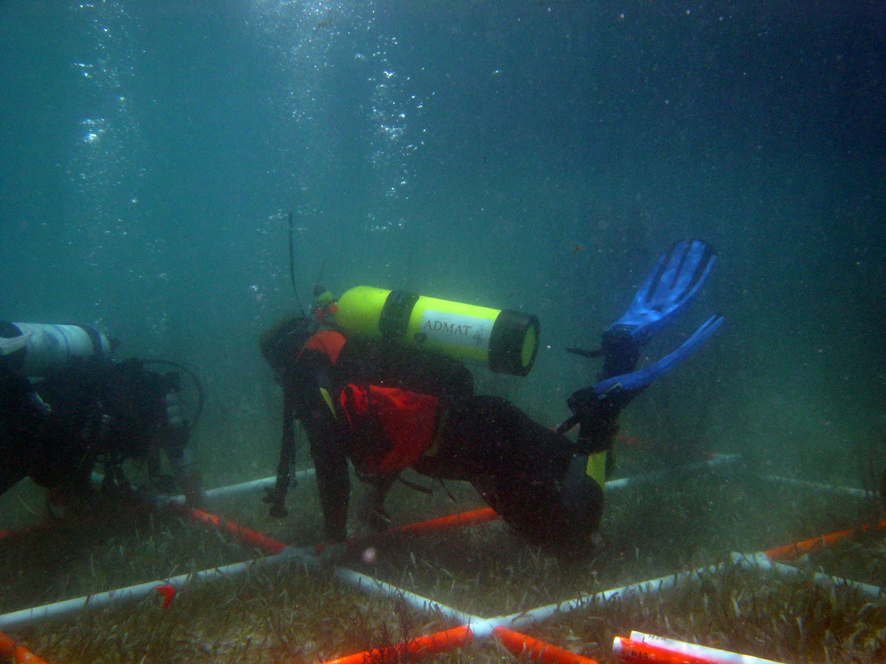 Dimitri and Father position the "A" row