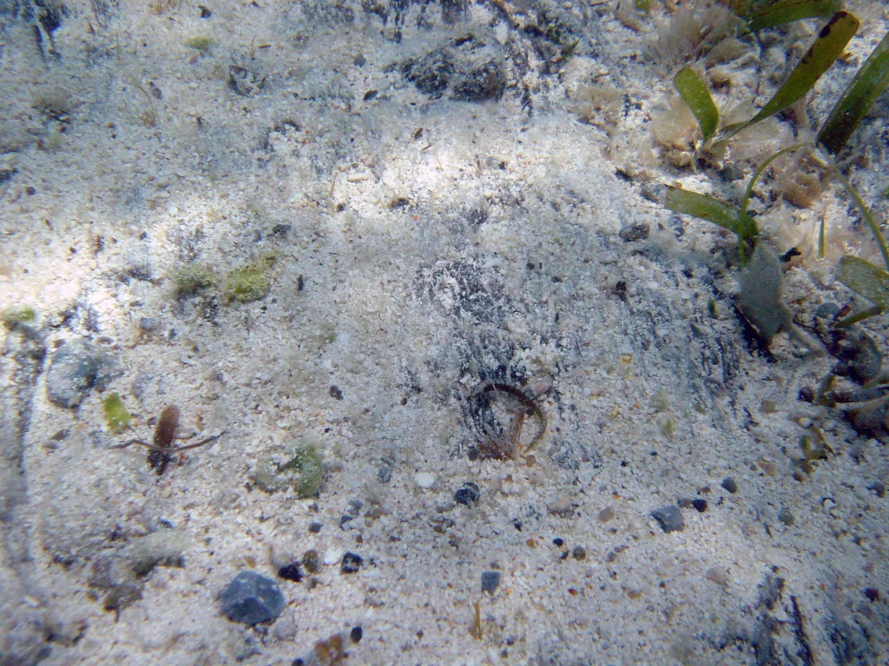 Timbers can be clearly seen under the sand