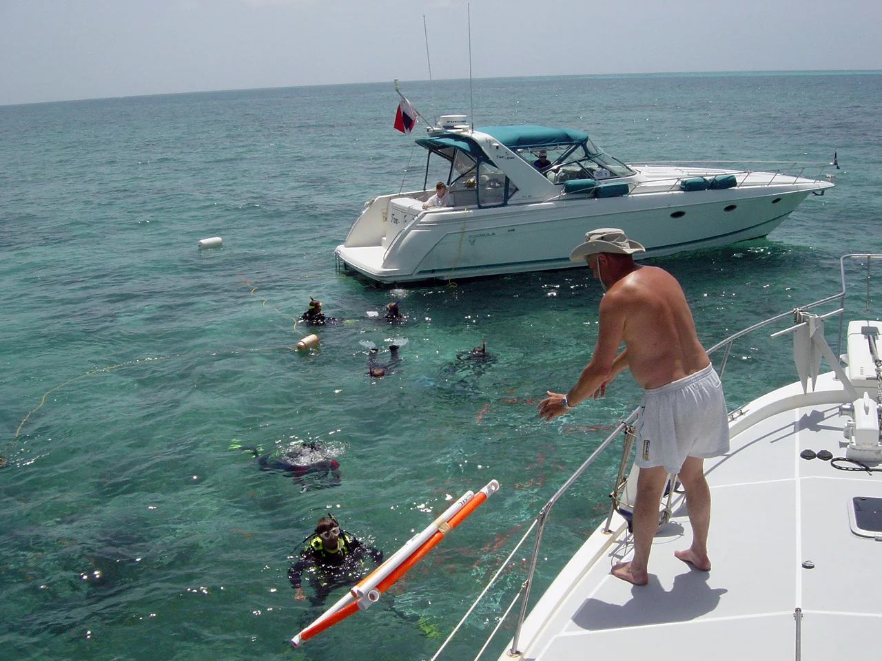 Frank lowers the final squareThe final row