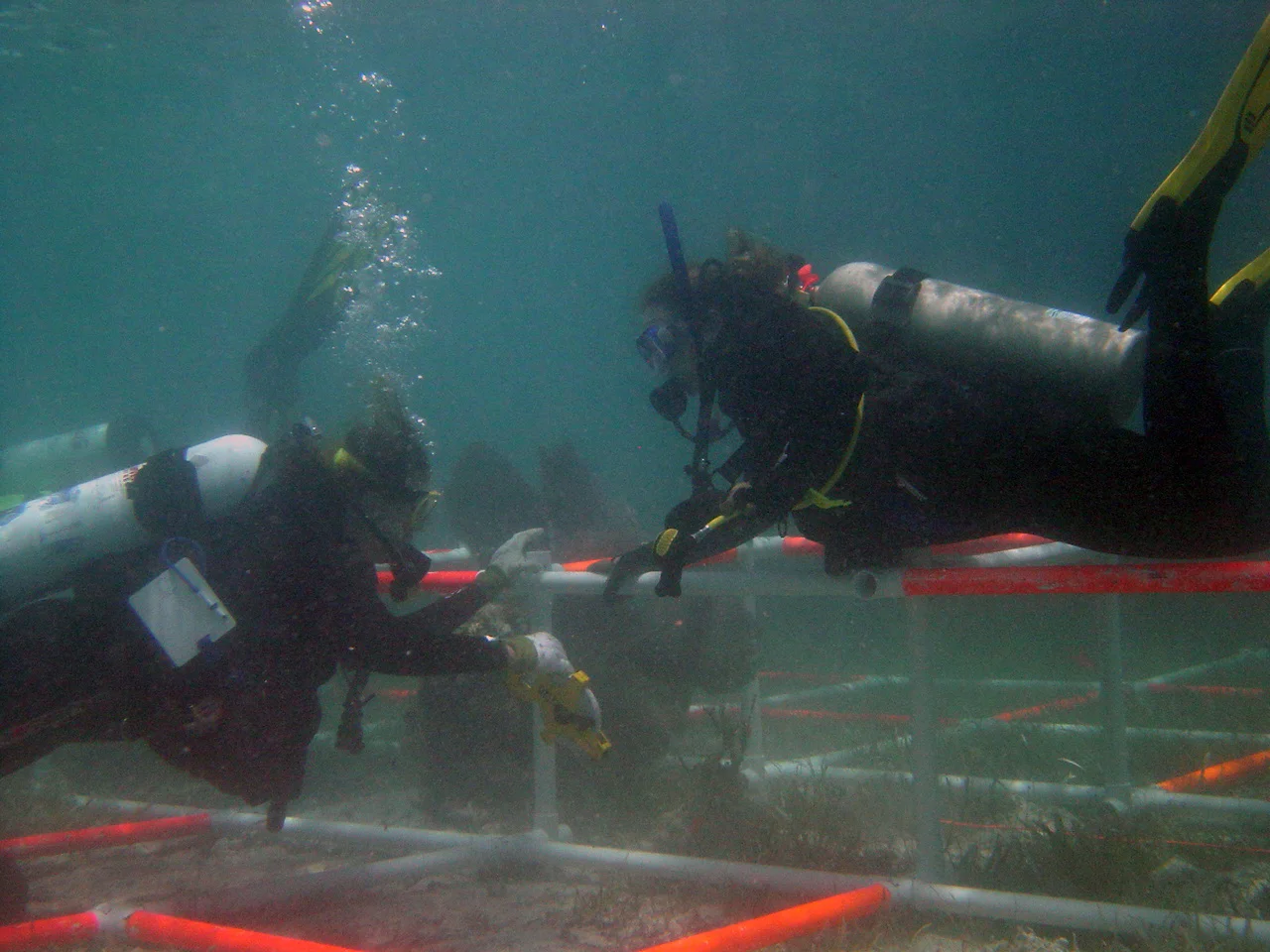 Kathy and Sarah measuring around the fan corrals on the keel bolt