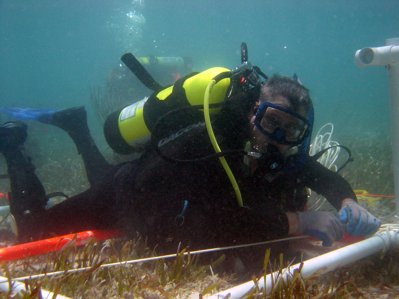  Patrick measuring