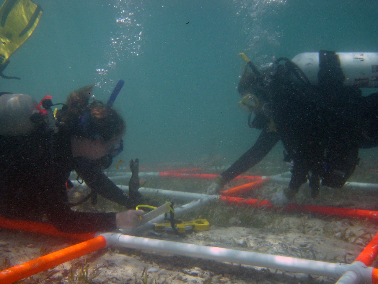  Kathy and Sarah measuring in a piece of bone