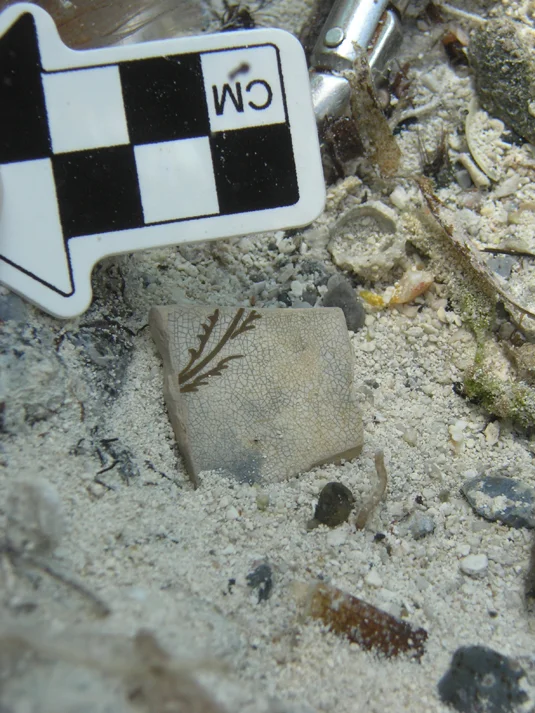 A small pottery sherd with a floral design