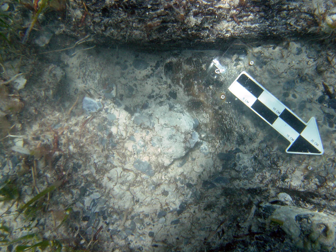 A small copper alloy button found.