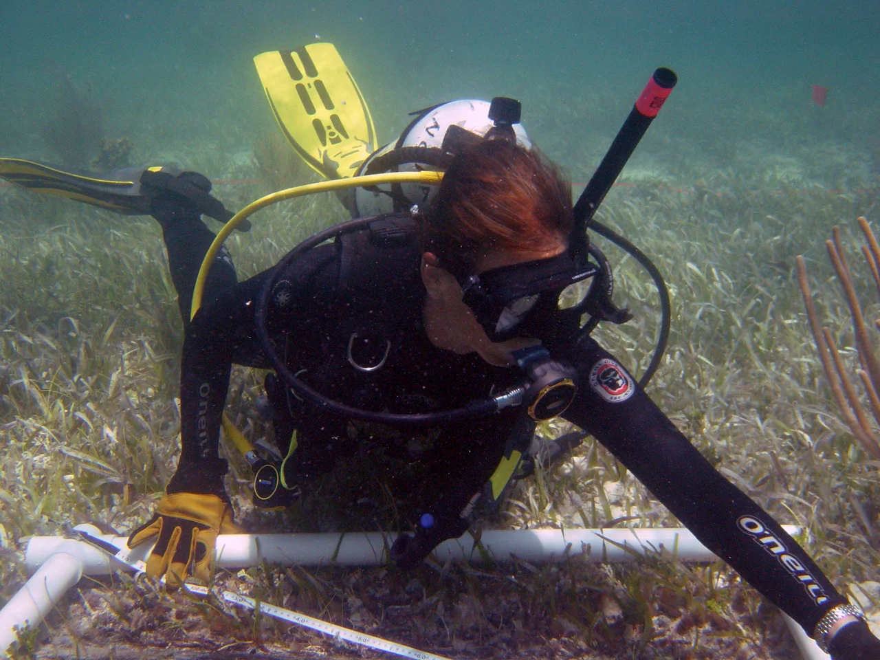 Karen finishing her measuring