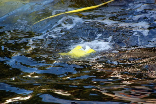 "Dive Dive Dive" as the thrusters propel the ROV into the "depths"