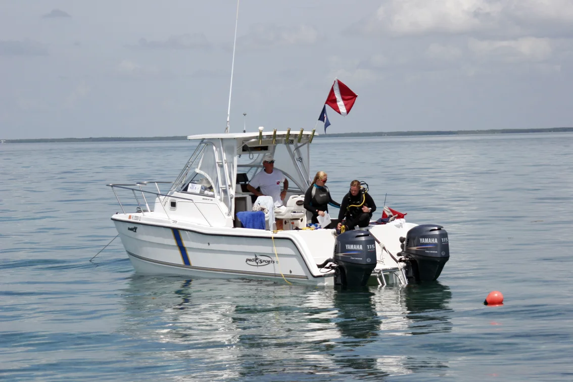 RECCE dive party away