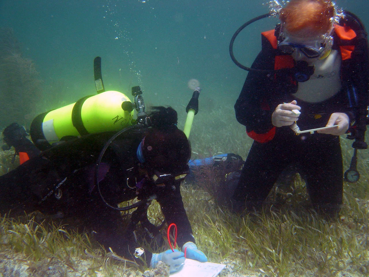 Patricia and Guillaume measuring in an artefact