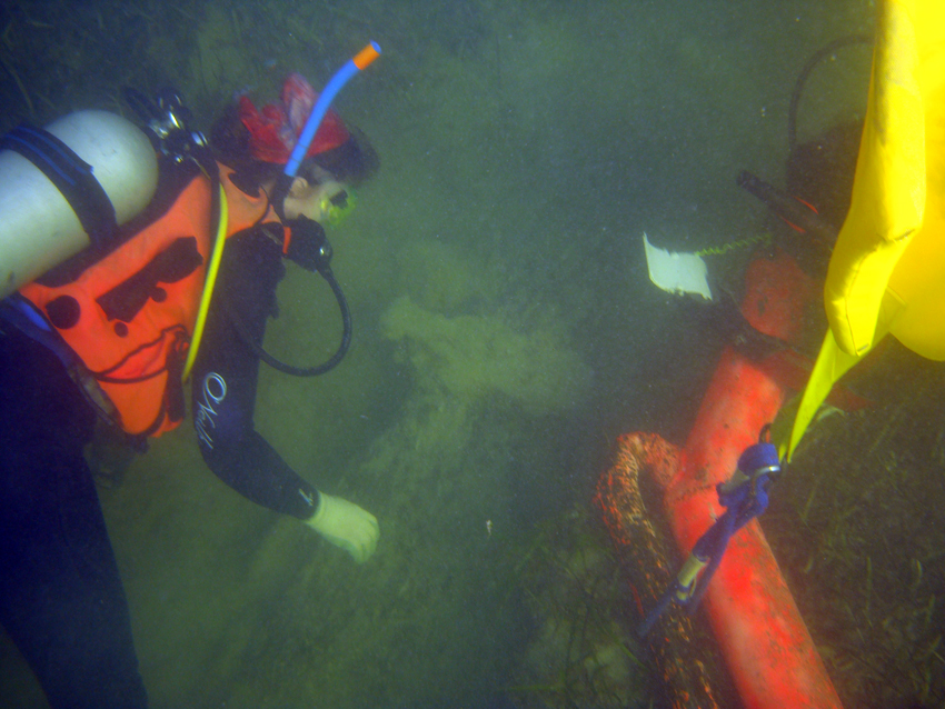Archaeologist Nicky Bose uncovering the second piece of The Tile Wreck's rudder, this time to seaward of the main hull section