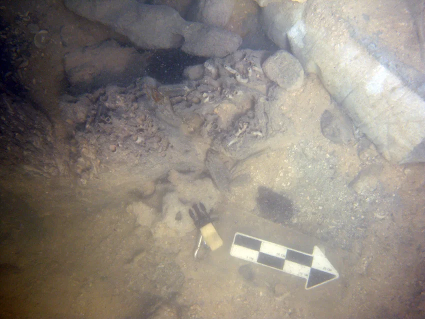 A top view of the three pieces of timber as they are uncovered