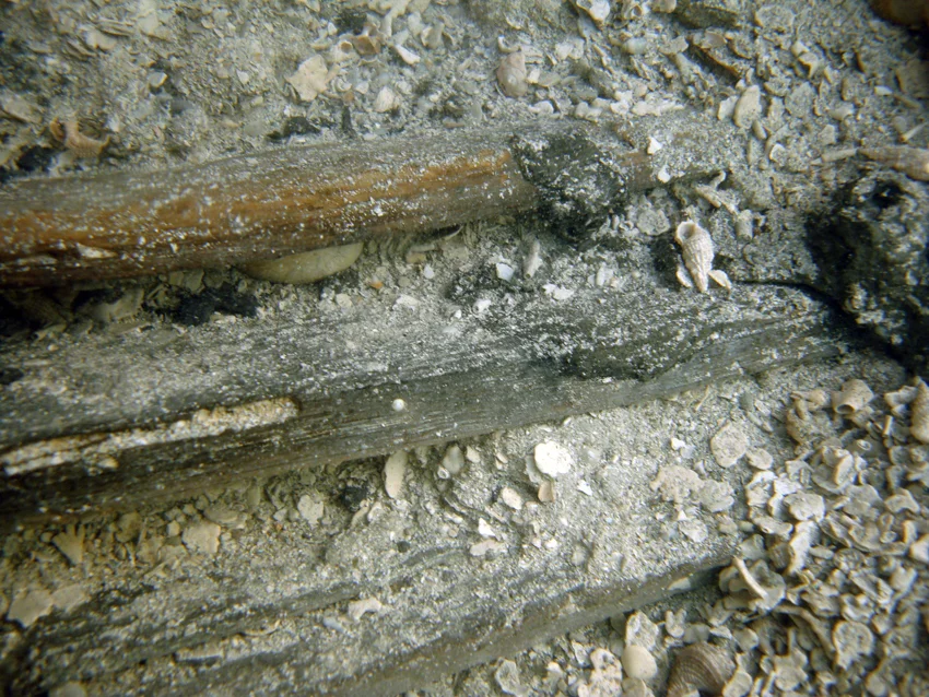 Pieced of barrel staves stacked in the mud found near the three pieces of timber