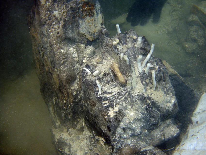 The first of the three pieces of timber which was placed next to the horizontal timber possibly the keelson, was keyed in (each timber had a half hole cut to take half of the trunnel), with four trunnels