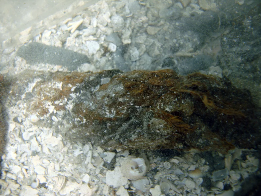 Close up of the rope which was in excellent condition considering it had been there since the 1720's