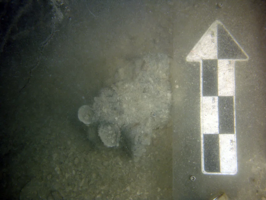 An unknown concretion, not a grenade