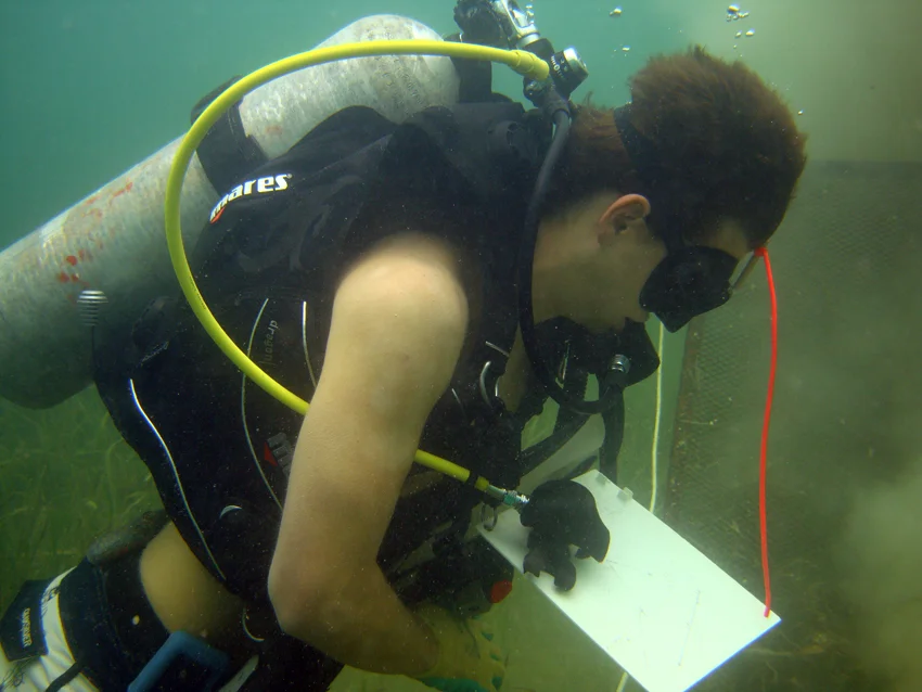 Student Kim learning how to document and measure the lower hull timbers
