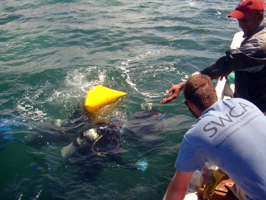 The lift bag breaks the surface with the lead artefact secured below