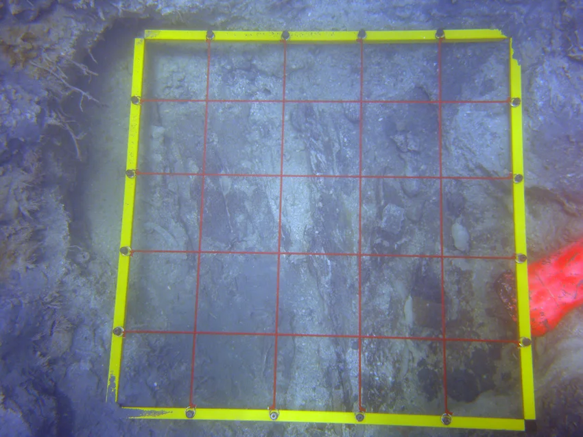 A square meter of lower hull being documented