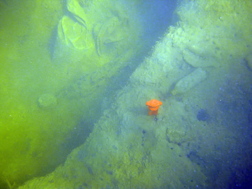 A timber beam, possibly a cant frame being uncovered