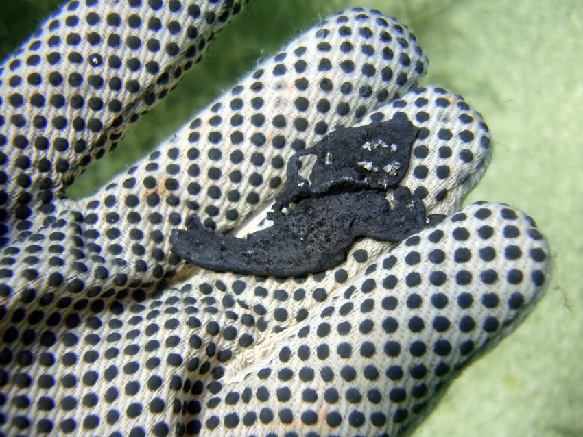 A piece of molten led from the wreck site