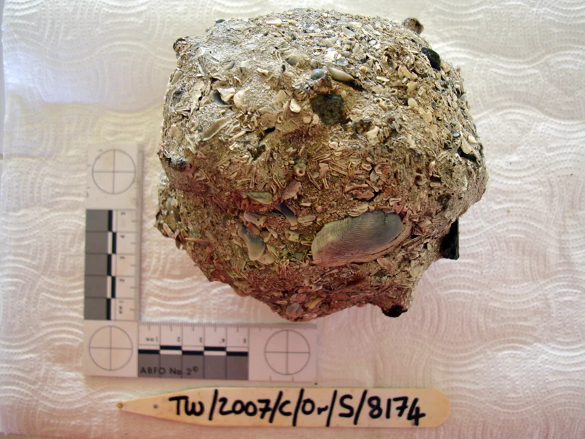 One of two four pounder iron cannon ball from The Tile Wreck with concretion. Note the one on the right has considerable more concretion