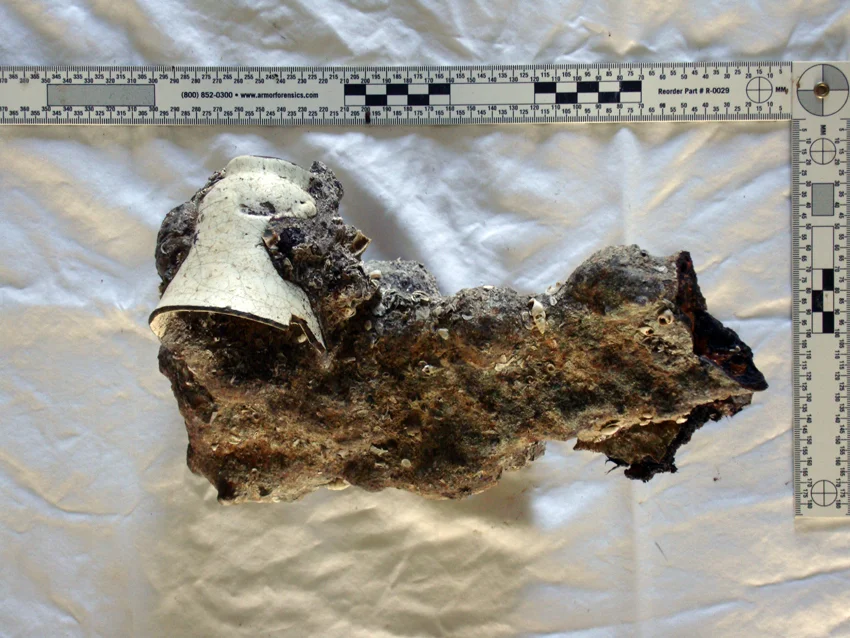 One of the possible plane blades with a white French faienceware beaker concreted to it, having a section cut
