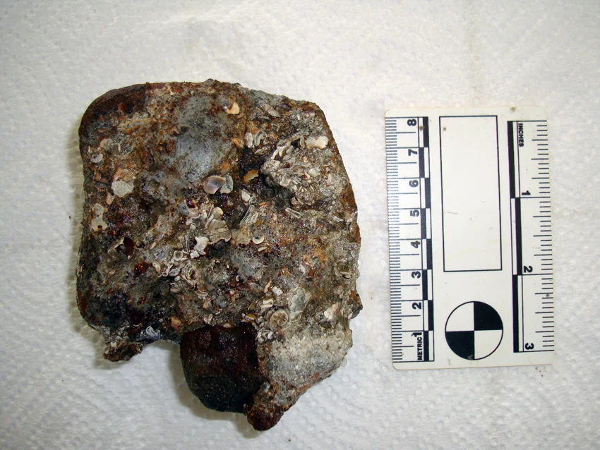 The outer shell of the concretion was intact and strong