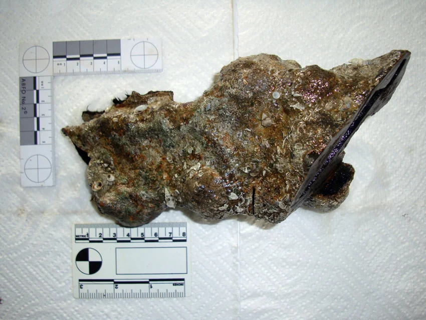 The underside