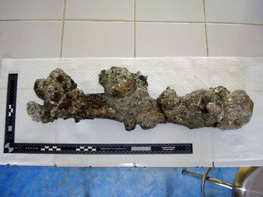 The underside