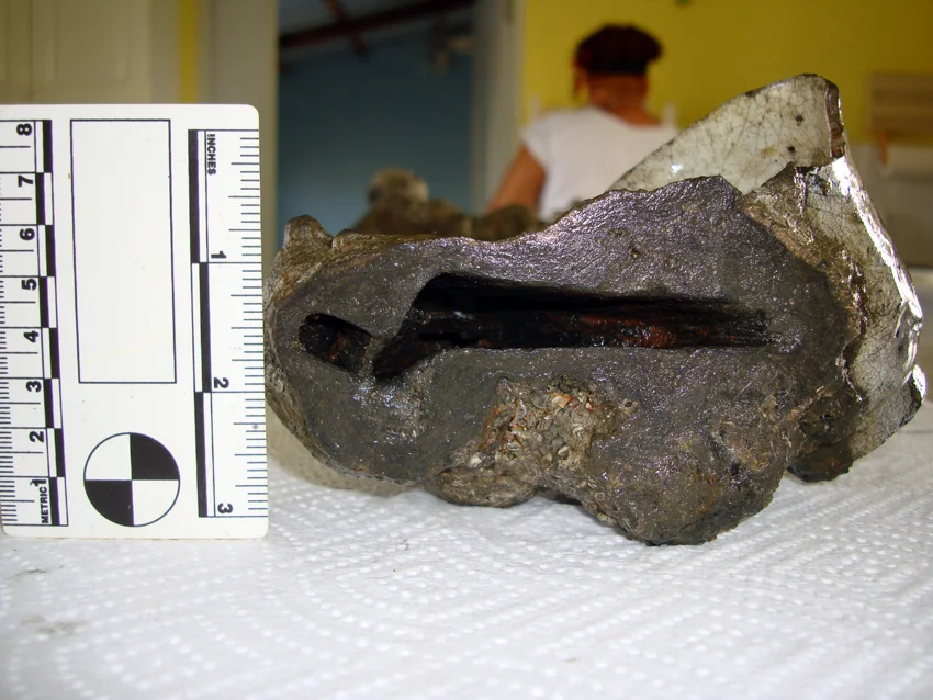 Cross section showing two items in the concretion. As further cuts were made the ghost items got closer