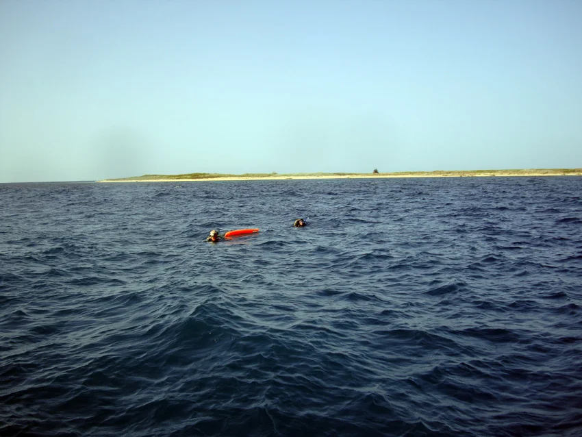 The team are deployed in pairs one hundred meters apart and given instructions to swim due west towards the island. Each team carries a deployed surface marker buoy
