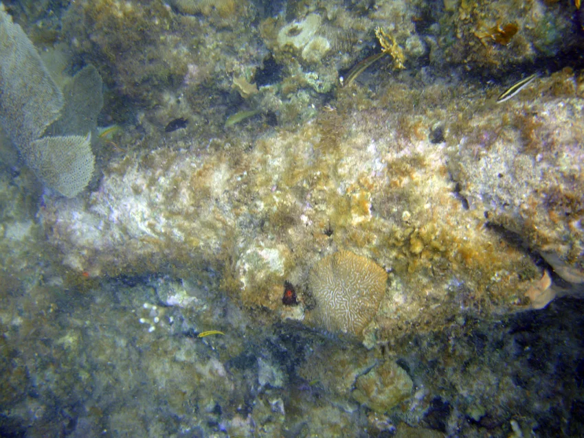 The muzzle of the same iron cannon. Note the holes in it
