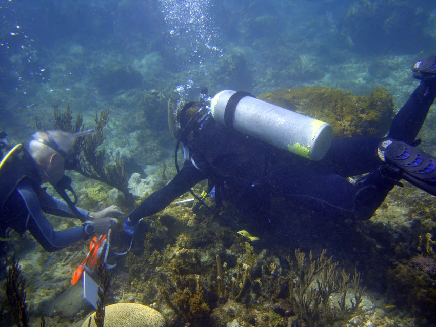 Divers measuring the iron cannons to DGPS reference points on the site