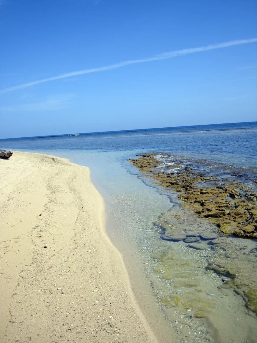 The coral rock strata which forms the base of the island and the reefs, visible on the shore line to the north of the shipscape
