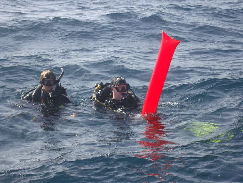 Mike and Wesley surfacing after another dive
