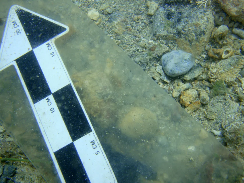 Small blue flints were found. These would be knapped and used for flints on pistols and muskets. From first impressions these appeared tomatched those found on The Tile Wreck
