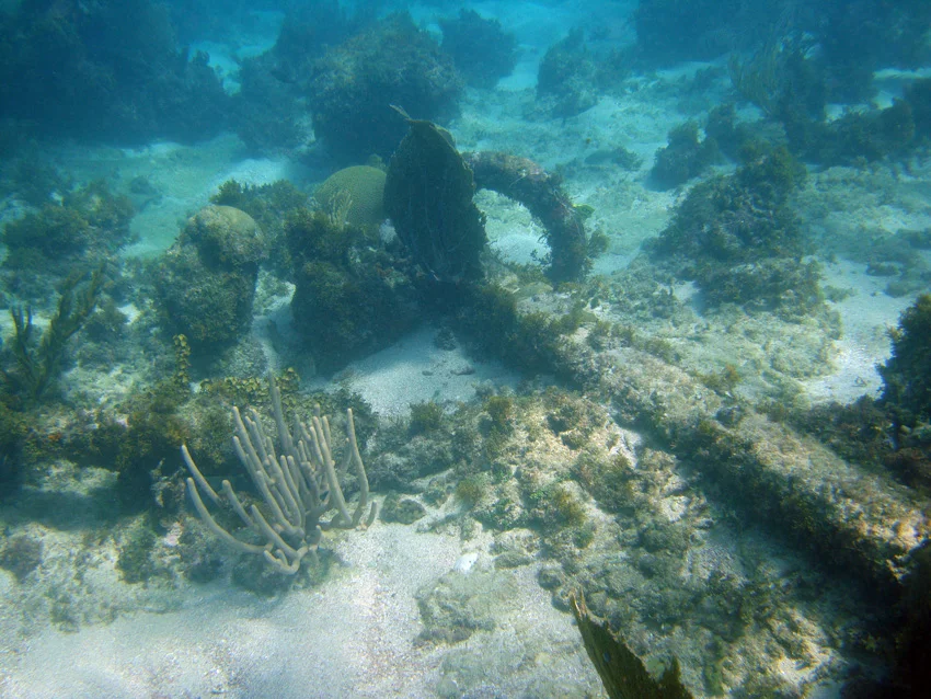 The same anchor ring with the shank. No sign of the wooden stock was found which was to be expected