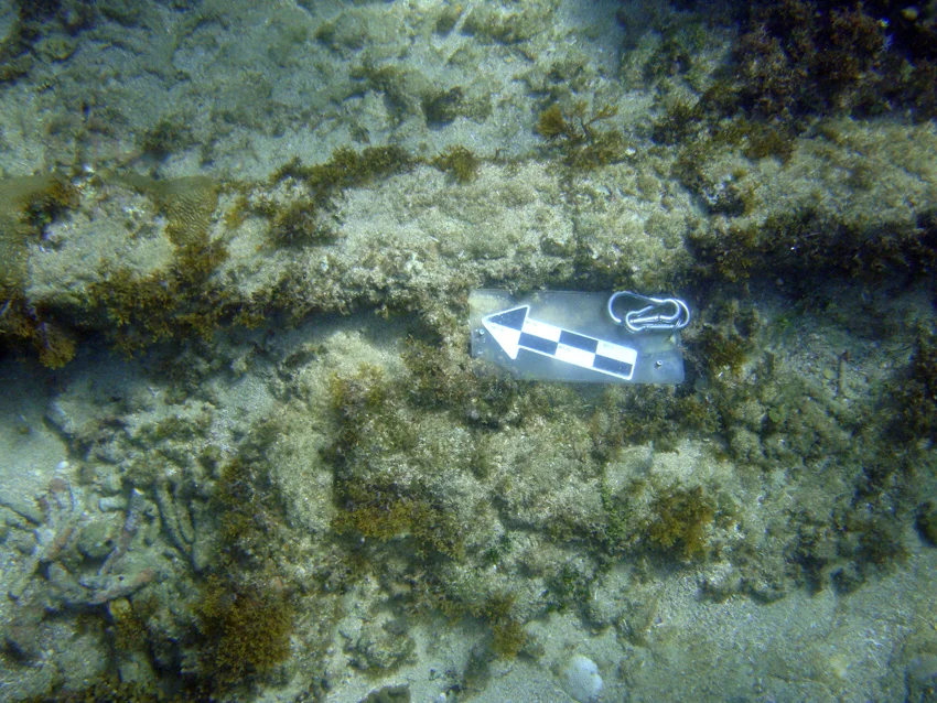  A large iron concretion shaped like a curved bar