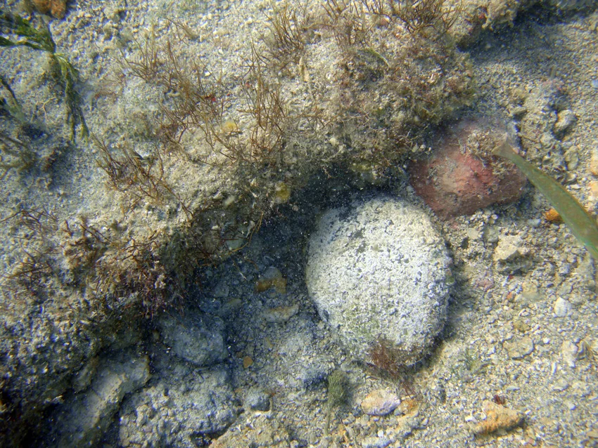 River rounded small ballast stones and a small piece of red brick