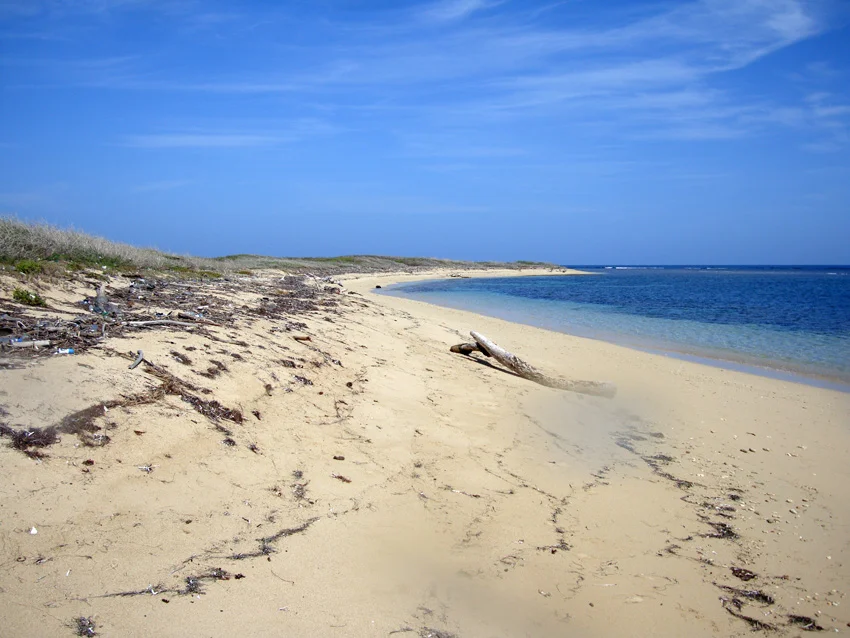 View along the beach to the northern reef which marks the northern limit of the macro Shipscape wrecking site