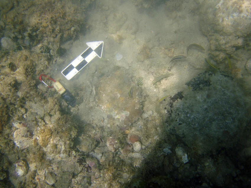 Larger ballast stones close inshore