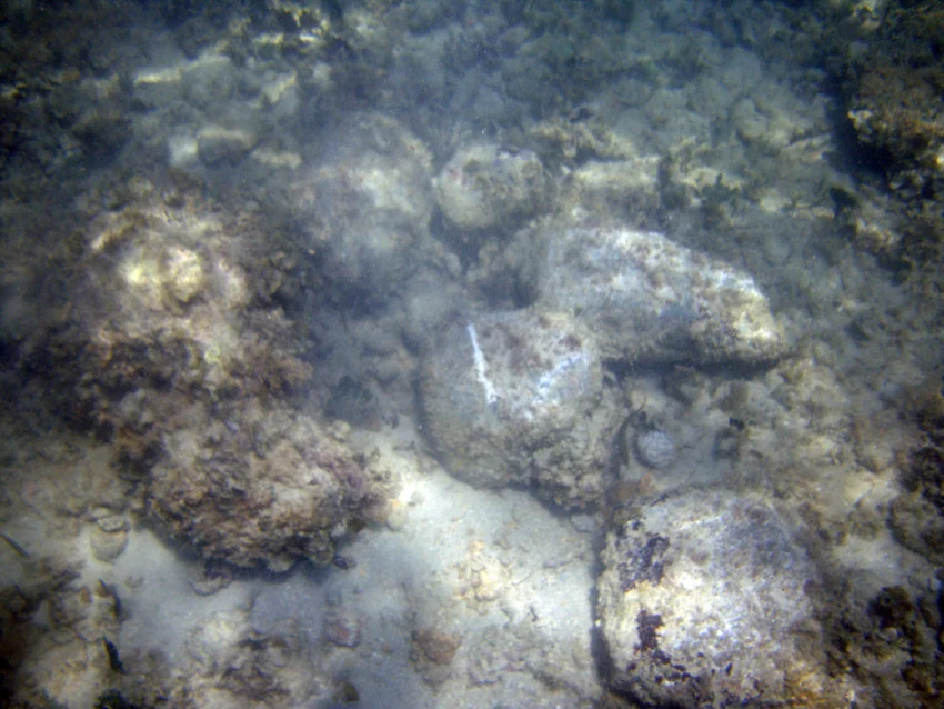 More large round ballast stones closer inshore