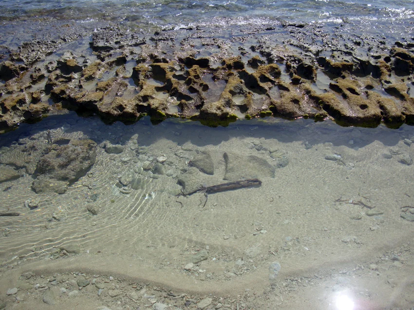 The coral strata on the islands shoreline