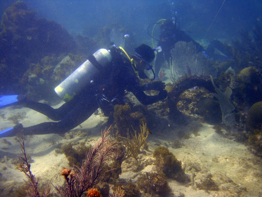 Inspecting the ring of anchor one