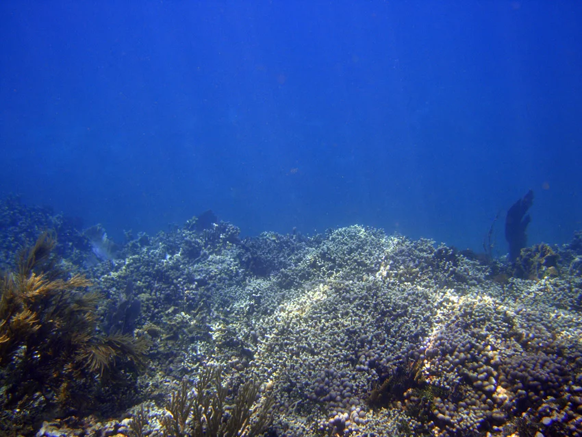 The dropoff to the western side of the island